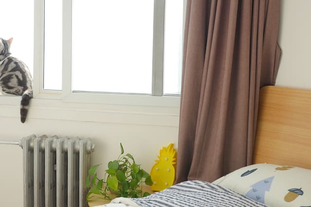 偶遇JK·女仆情景·SPA会所